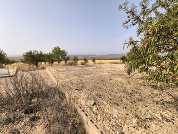 o1j4o0bvk2buc1f2l15ln1p8p1ku61i