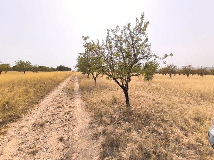 Image No.8-Land for sale