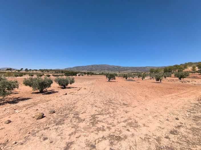 Image No.1-Land for sale
