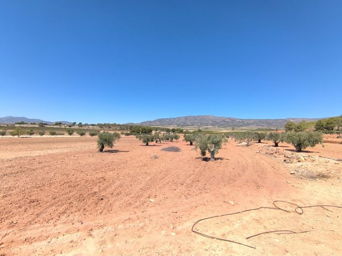 Image No.2-Land for sale