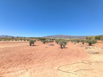 o1j4nu0c0n1lim5c4ol71qn75d91f