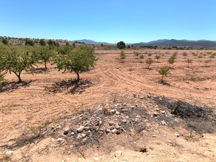 Image No.2-Land for sale