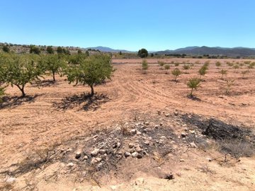 o1j4srt37j1jsl1a81jdk2aho9d1g