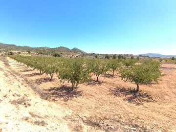 o1j4srt37j7cma141ihmeh41ape1h