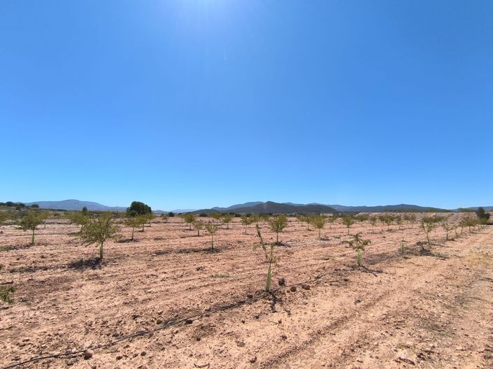 Image No.4-Land for sale