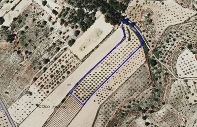 o1j4srt37jnbn1por1vlj1ko6sm1e