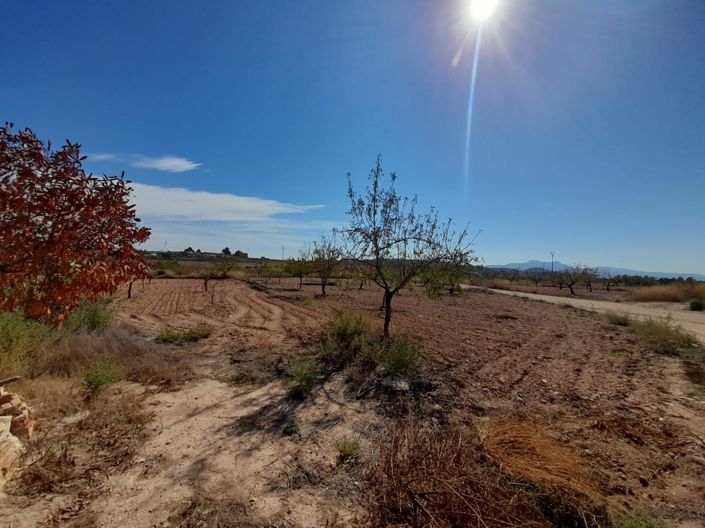 Image No.2-4 Bed Country House for sale