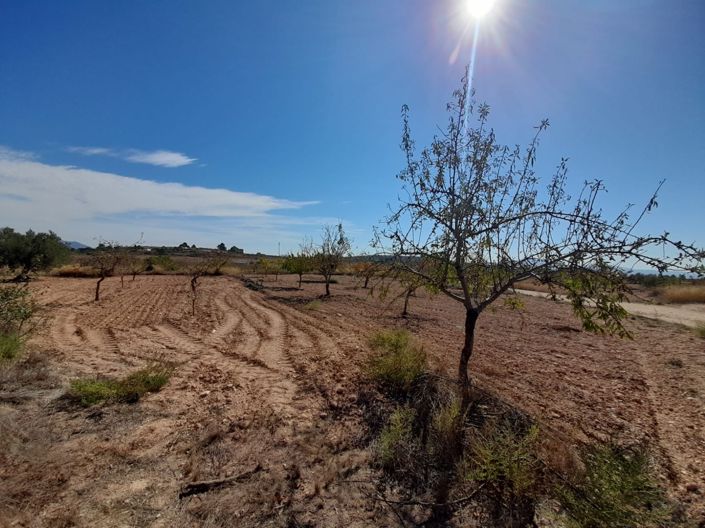 Image No.21-4 Bed Country House for sale