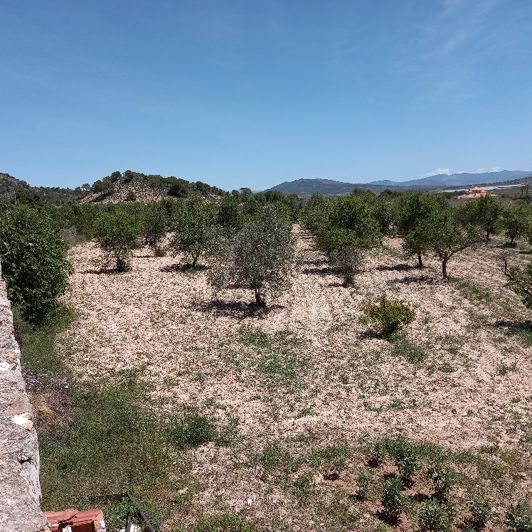 Image No.42-6 Bed Villa for sale