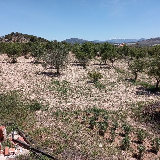 Image No.43-6 Bed Villa for sale