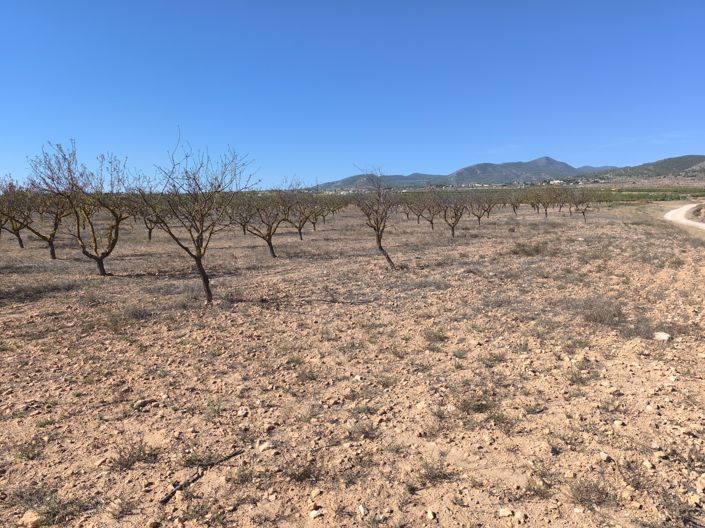 Image No.2-Land for sale