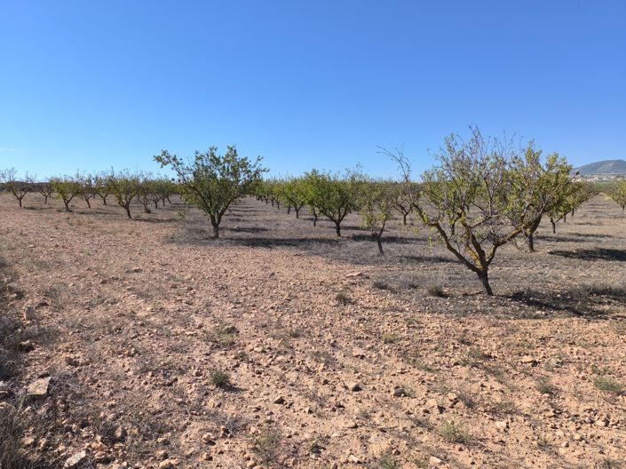 Image No.4-Land for sale