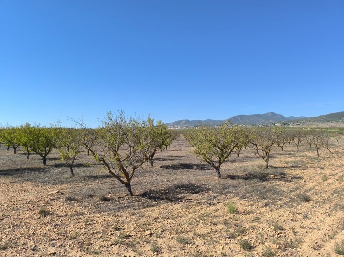 Image No.5-Land for sale