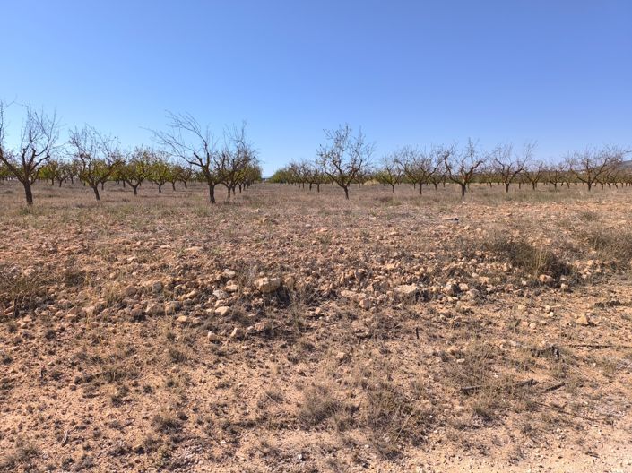 Image No.6-Land for sale