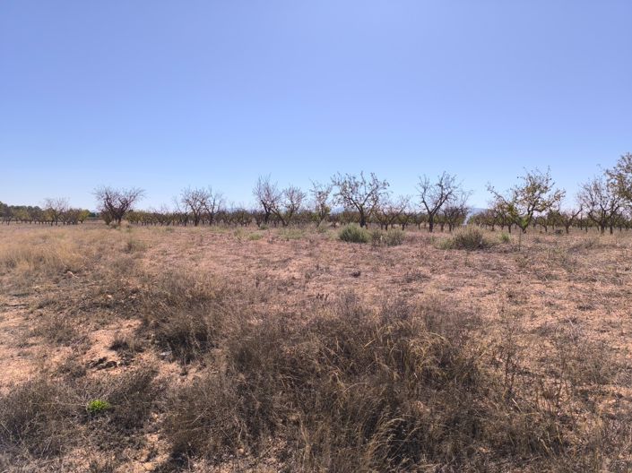 Image No.7-Land for sale