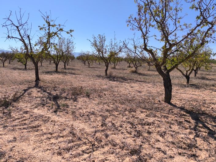 Image No.8-Land for sale