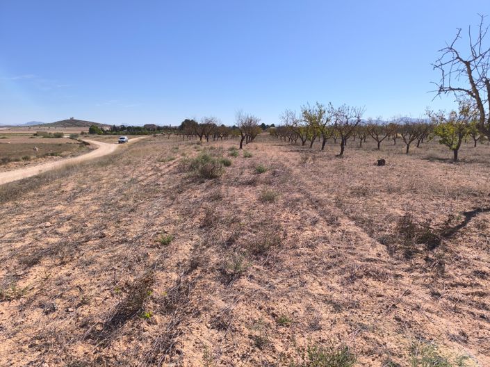 Image No.9-Land for sale