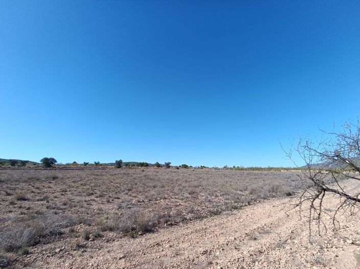 Image No.19-3 Bed Country House for sale