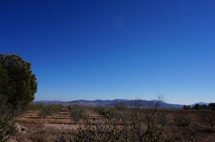 Image No.48-Country House for sale