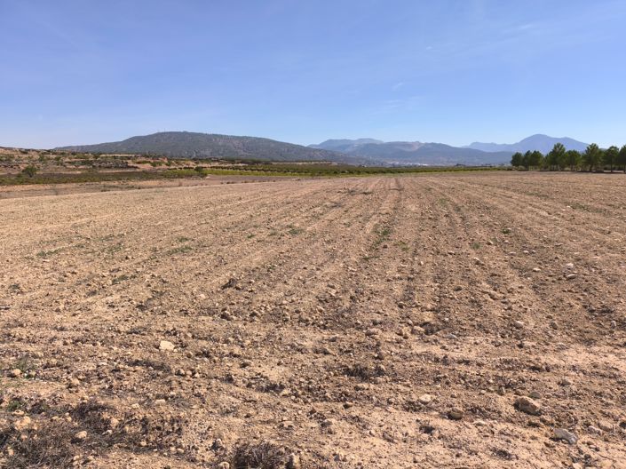 Image No.2-Land for sale