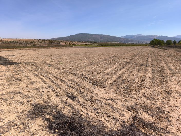 Image No.4-Land for sale