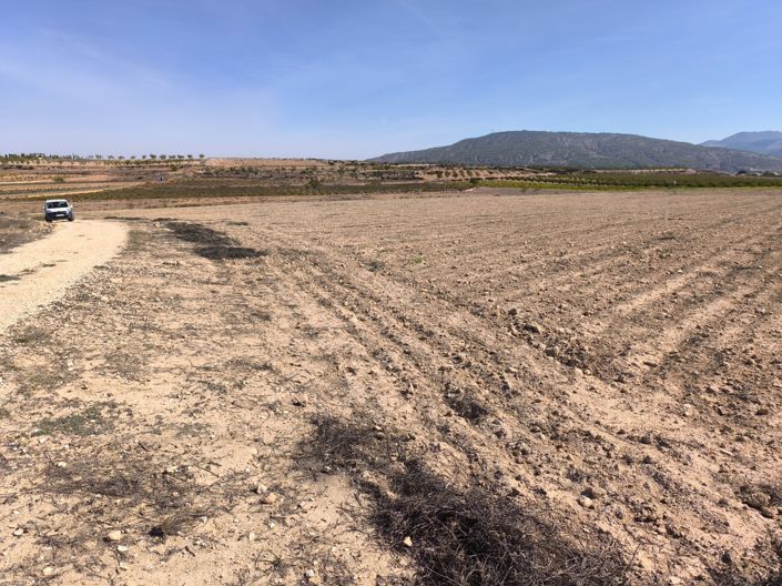 Image No.5-Land for sale