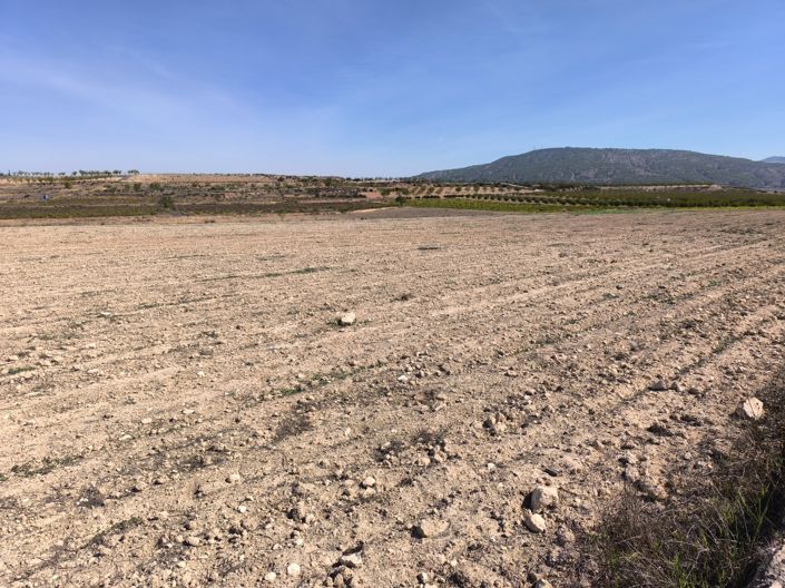 Image No.7-Land for sale