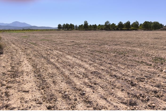 Image No.8-Land for sale