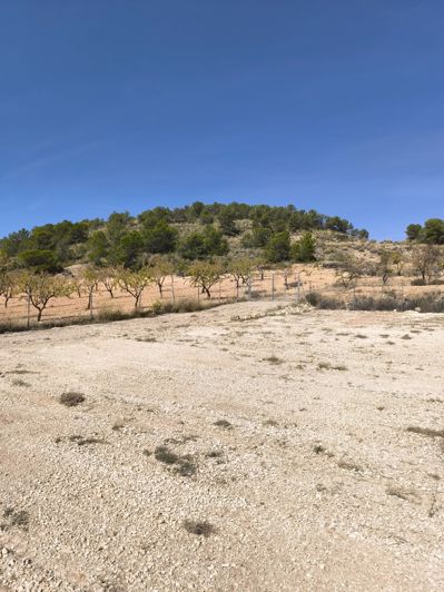 Image No.26-2 Bed Villa for sale