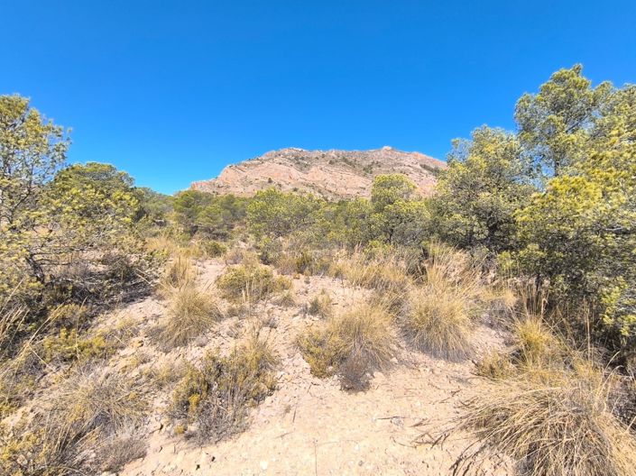 Image No.23-4 Bed Country House for sale