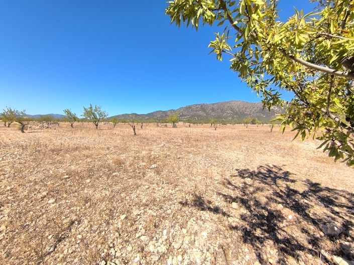 Image No.1-Land for sale