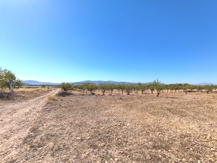 Image No.2-Land for sale