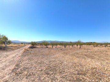 o1j77t17ka1kbeud8ik9gek19531e