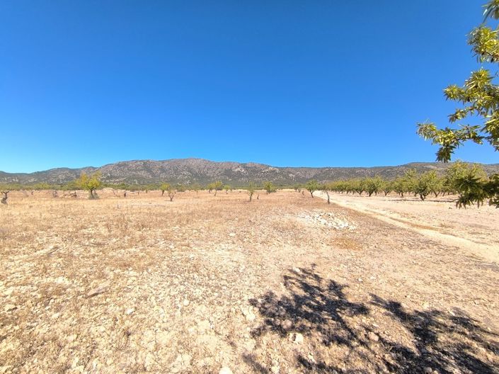 Image No.3-Land for sale