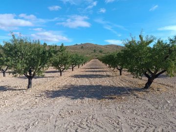 o1j77d246g1h8e1mj5pgp1d5o1qus1h