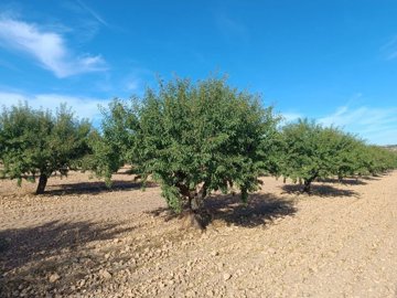 o1j77d246g6qj5p11qcr9td1vvm1l