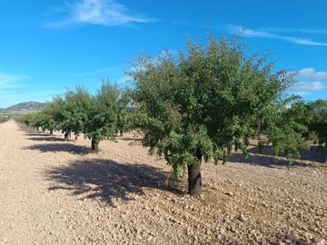 o1j77d246g14vg1v5l11fq10tk11ot1i