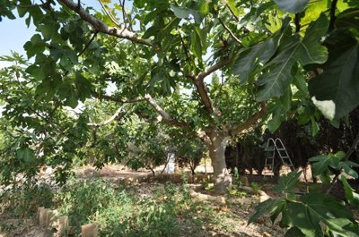 d68f0c9631e9ce68f0c9631ea14