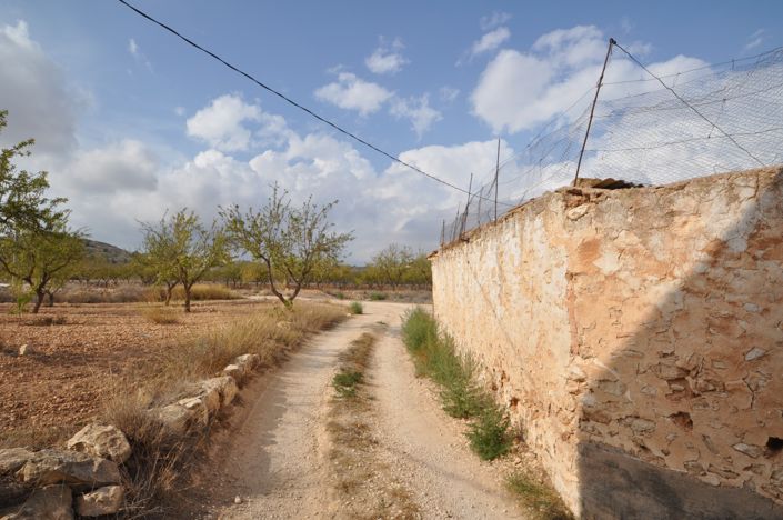 Image No.21-4 Bed Country House for sale