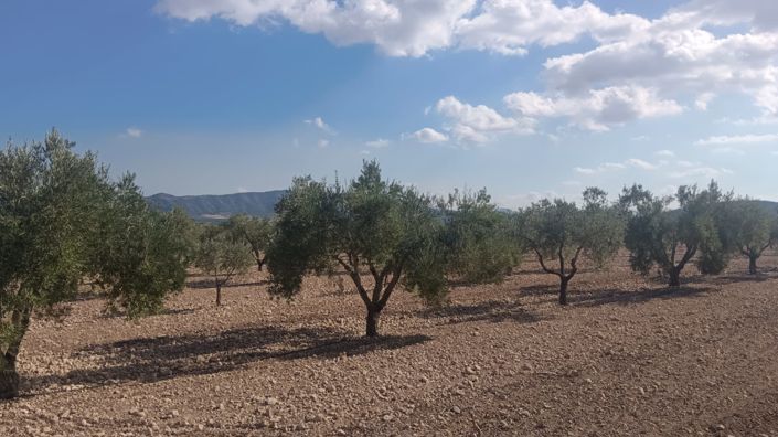 Image No.10-Land for sale