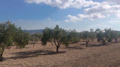 o1j80vqdo11s7i1limrn111lo6a21v