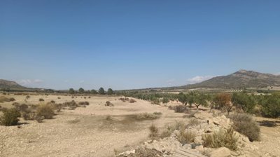 o1j80vqdo1119d15jdkfg6hfdds21