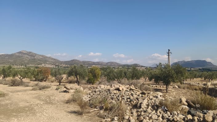 Image No.2-Land for sale