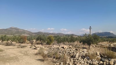 o1j80vqdo119rk1b711m6d1kdn1gpu1m