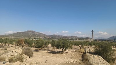 o1j80vqdo11a6t1cio9otlkqpev1n