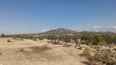 o1j80vqdo11tsq145515kr1gpd1ta31o