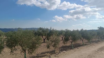 o1j80vqdo11n9719nd4h3lhh1l8i1q