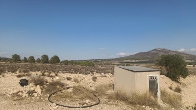 o1j80vqdo1bgk1srqvq2b7bppu1u