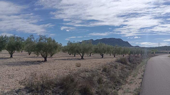 Image No.11-Land for sale