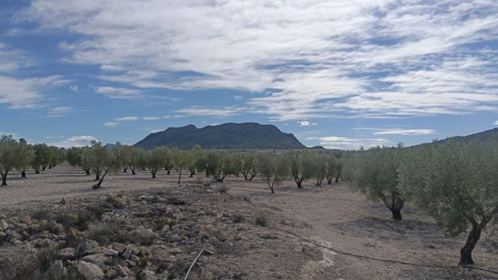 Image No.2-Land for sale